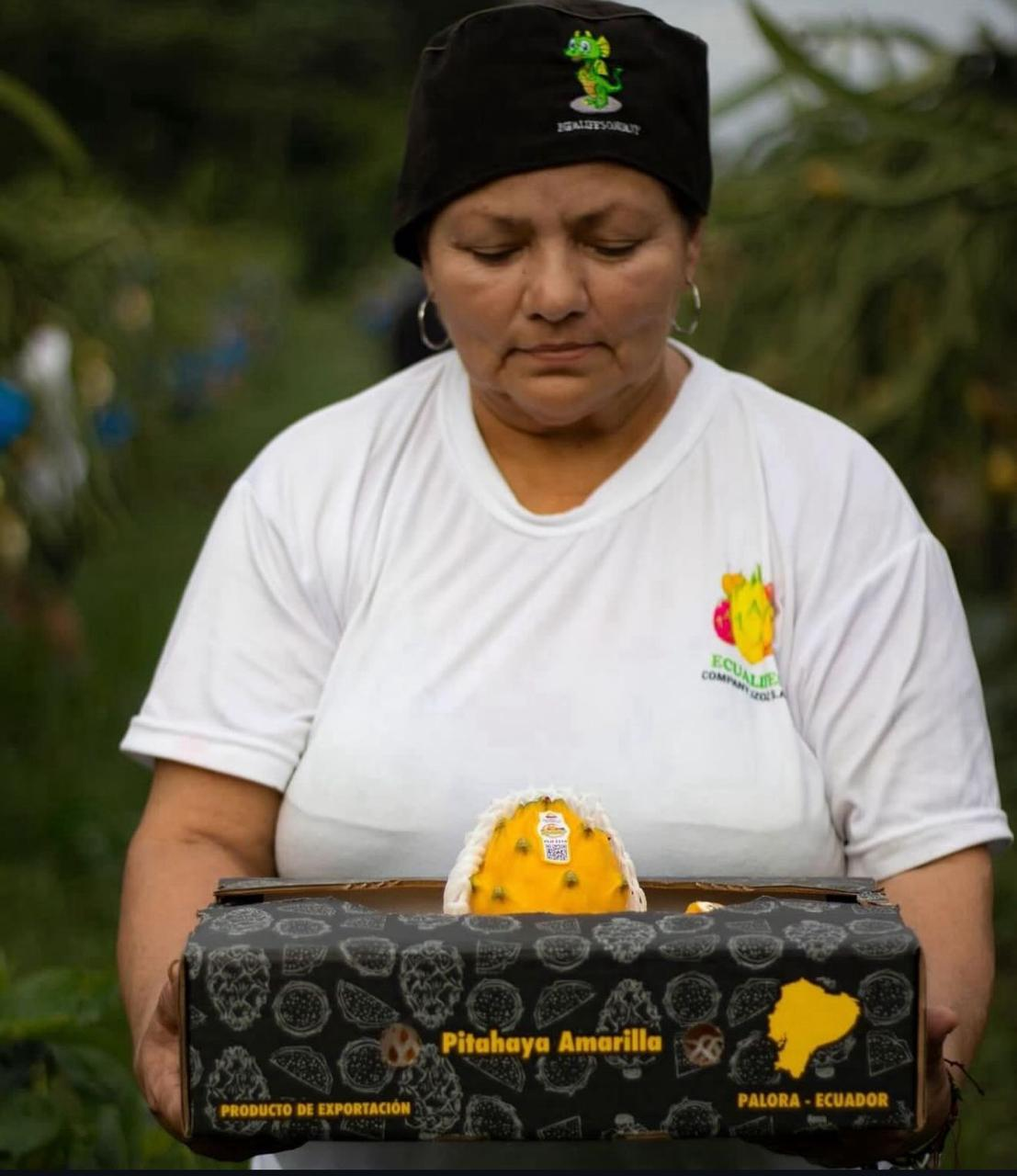 Proceso de empaquetado EcuaLife