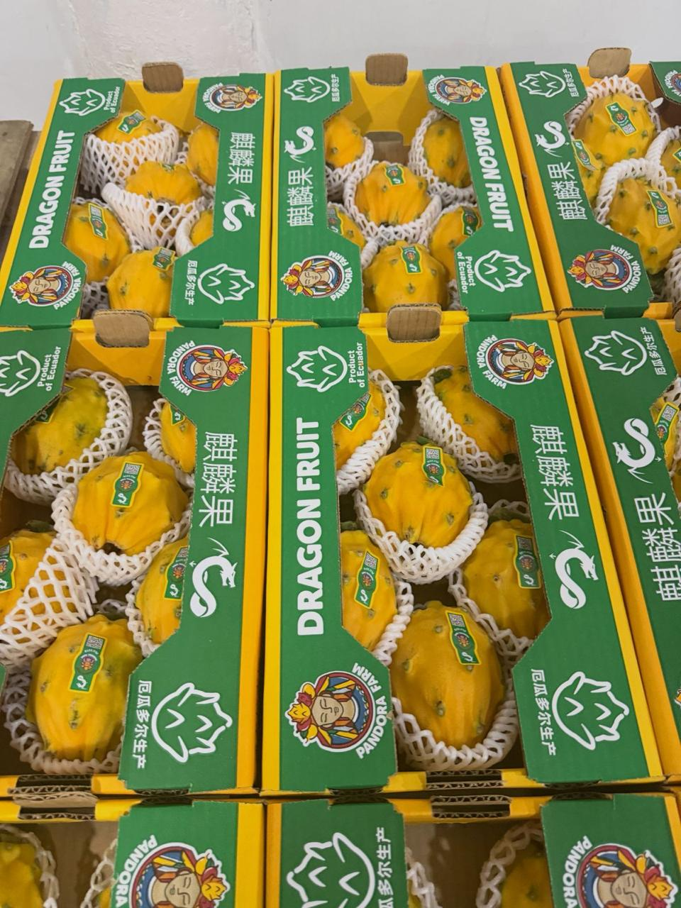Dragon Fruit empacado