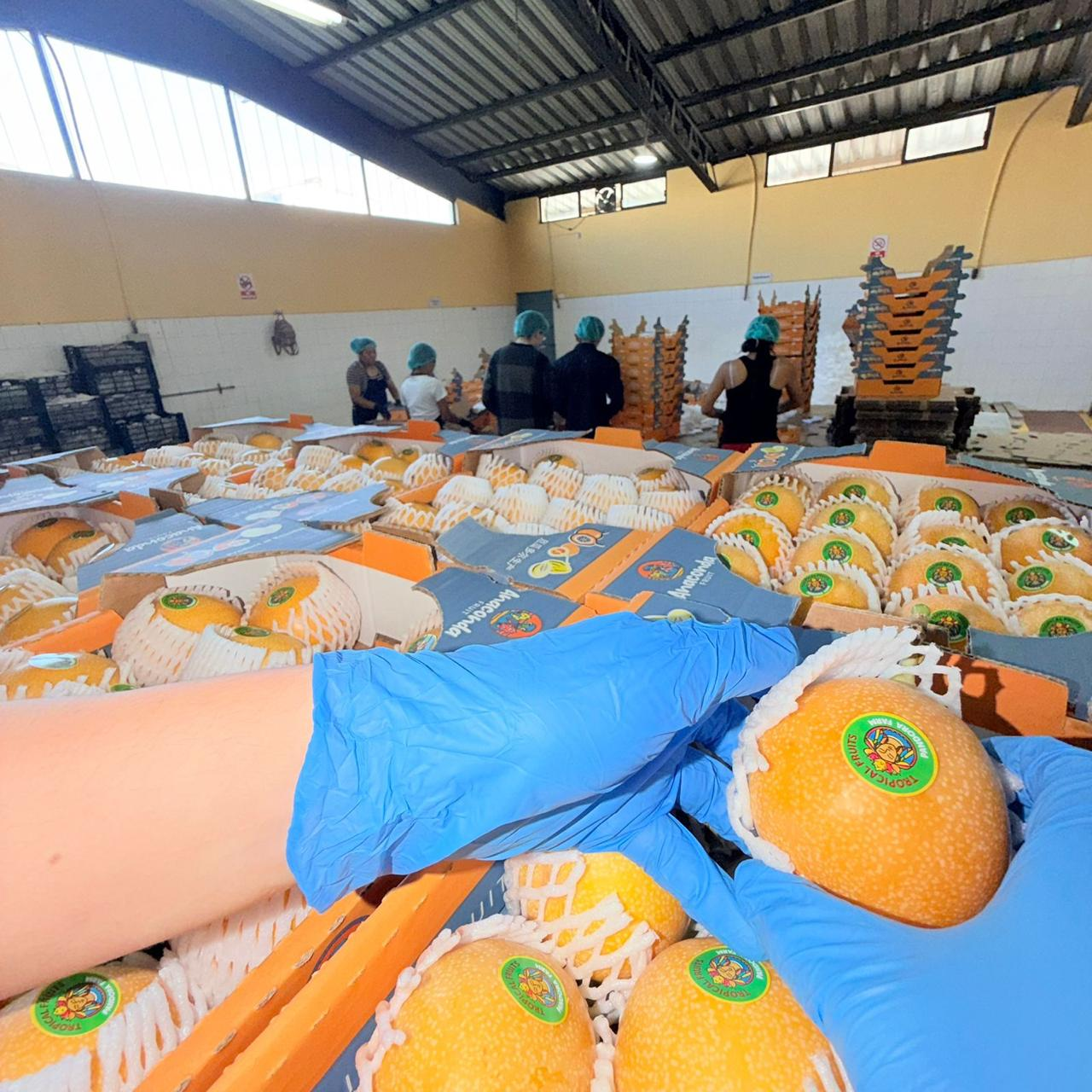 Planta de empaquetado